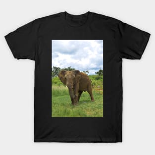 Wild Elephant in Africa T-Shirt